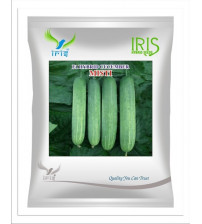 Cucumber / Kakri F1 Iris Misti - 20 grams